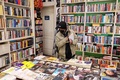イラン・テヘランの書店（2022年1月29日撮影）。(c) ATTA KENARE / AFP