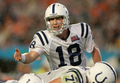 写真は、選手に指示を出すコルツのQBペイトン・マニング（%%Peyton Manning%%）。(c)AFP/Getty Images Donald Miralle