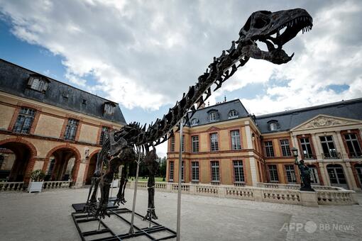 巨大恐竜の骨格、約10億円で落札 仏パリ 写真9枚 国際ニュース：AFPBB News