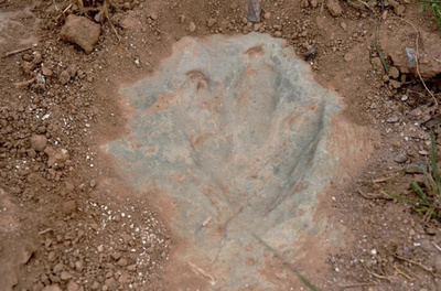 中国最大面積の恐竜足跡化石が発掘 河北省張家口市