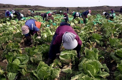 韓国で外国人労働者への「虐待がまん延」、人権団体が警告