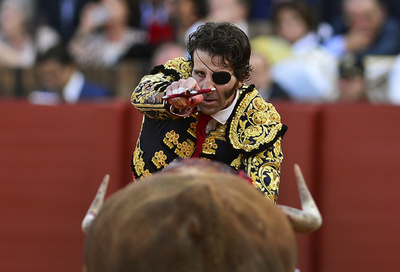 【特集】AFPのベストショット：4月30日～5月6日