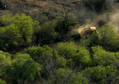 気温上昇に伴う植物のCO2排出増「想定以下」