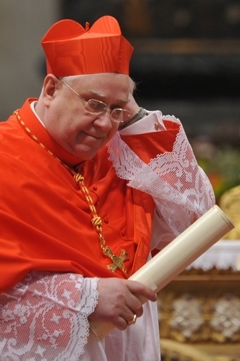 銃愛好家の「ランボー枢機卿」、自己弁護発言が話題に