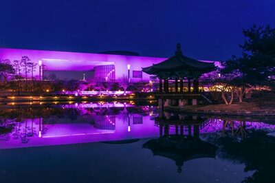 Kカルチャーの象徴が融合…国立中央博物館×BLACKPINKの「フラットカルチャー」実験