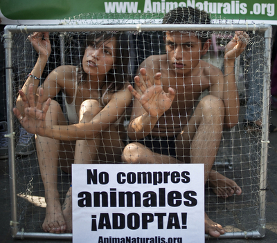 「動物は商品じゃない！」、ケージの中から抗議 動物保護団体