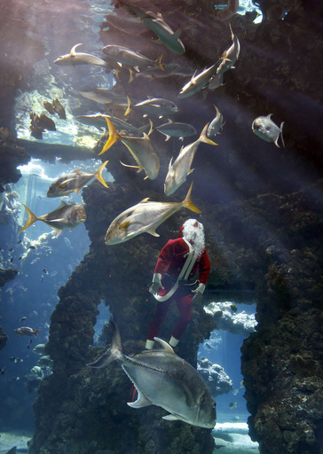 サンタが水槽で魚と遊泳、モナコのクリスマス・イベント