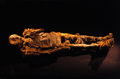 古代エジプト女王のミイラを特定 歯が決め手に