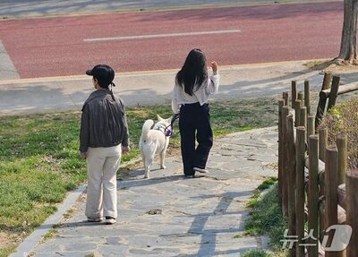 韓国・失われたペットマナー…スマホに夢中？見ぬふり？放置される犬のふんに市民ブチ切れ