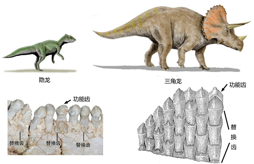 古生物学者