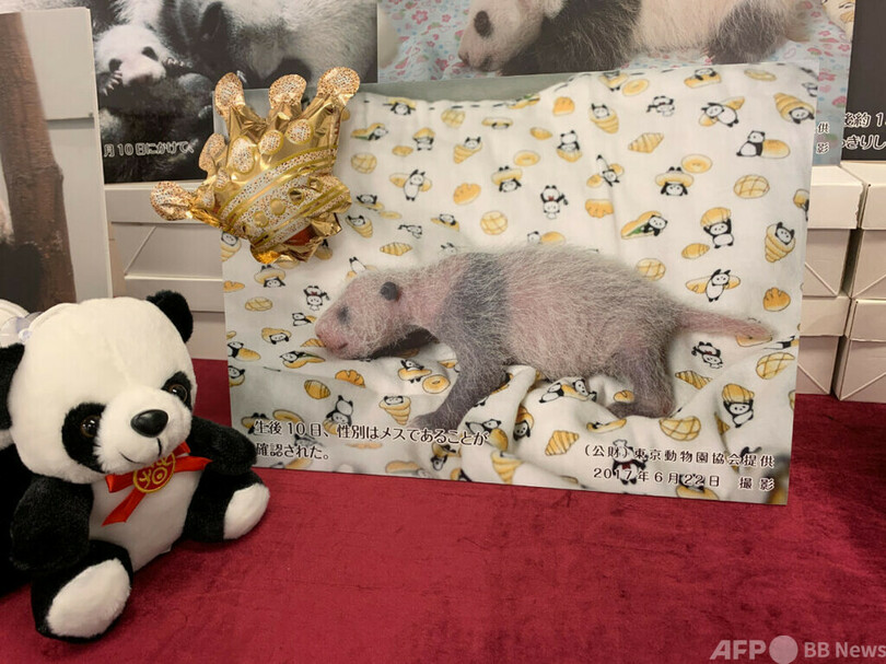 パンダ・シャンシャンの誕生日会、東京で開催