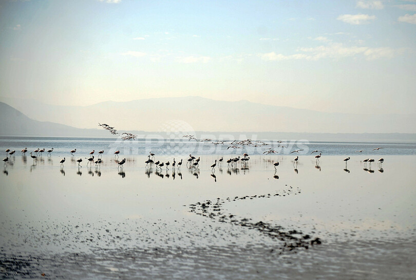 太陽の光がリング状に見える「金環日食」、アフリカやアジアで観測