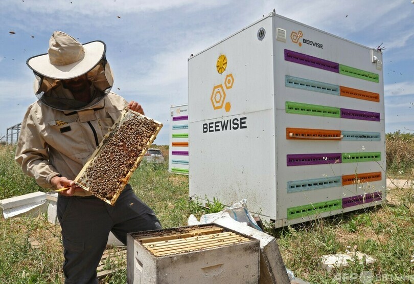 【SDGsニュースを振り返る】6月23日〜6月30日