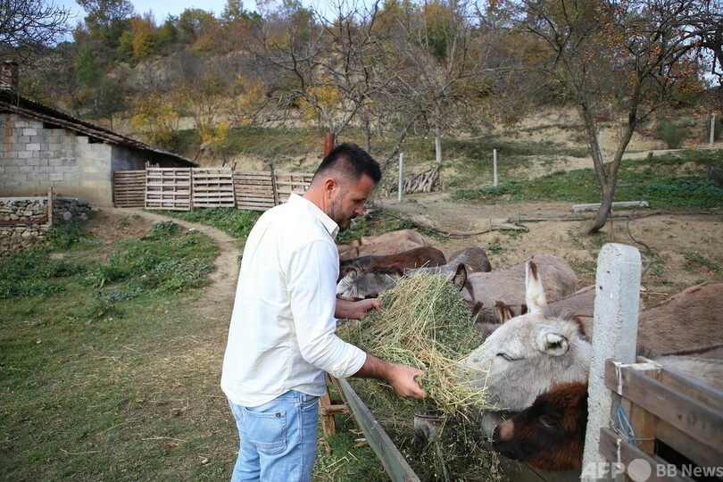 コロナ禍で「ロバのミルク」に人気殺到、免疫力アップを期待 アルバニア