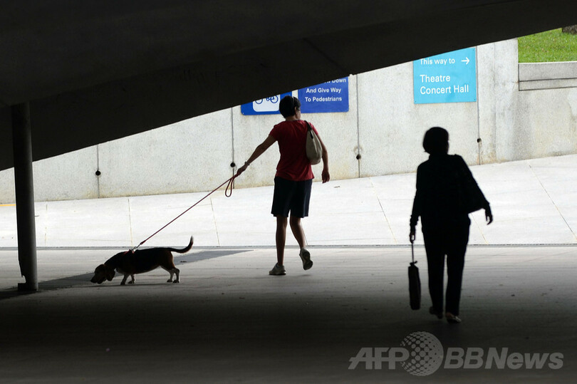 ペット虐待で罰金最高額80万円、シンガポール