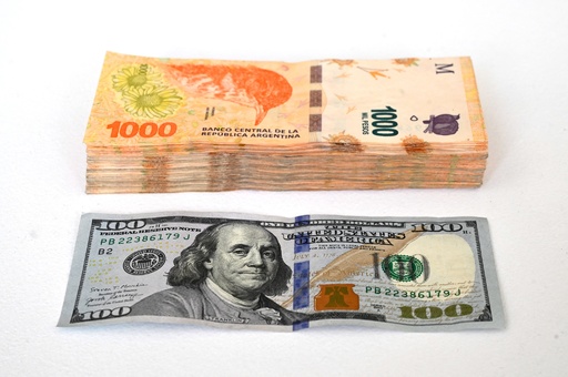 高インフレのアルゼンチン、1万ペソ紙幣の流通開始 写真4枚 国際ニュース：AFPBB News