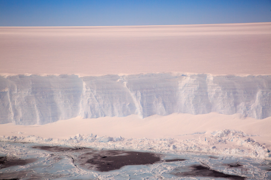 国際ニュース：AFPBB News未知の海洋生態系、南極で調査開始 棚氷の下に最大12万年潜む