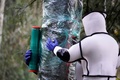 米ワシントン州ブレインでオオスズメバチの巣を駆除する当局職員ら（2020年10月24日撮影）。(c)Elaine Thompson / POOL / AFP