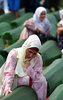 ボスニア・ヘルツェゴビナ東部スレブレニツァ（Srebrenica）近くの村で、1995年のスレブレニツァ虐殺で死亡した親族のひつぎを前に嘆き悲しむ女性（2013年7月11日撮影）。(c)AFP/ELVIS BARUKCIC