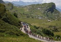 自転車ロードレース、ツール・ド・フランス、第17ステージ（サンジェルベモンブラン～クーシュベル、165.7キロ）に臨む集団（2023年7月19日撮影）。(c)Thomas SAMSON / AFP