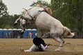 アルゼンチンのサンアントニオデアレコで、第83回伝統祭が開かれ、ロデオショーで落馬する南米版カウボーイの「ガウチョ」（2022年11月12日撮影）。(c)Luis ROBAYO / AFP
