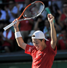 子テニス国別対抗戦、デビスカップ（Davis Cup 2011）は18日、東京の有明コロシアム（Ariake Coliseum）で日本とインドによるワールドグループプレーオフが行われ、日本は3日目のシングルスで錦織圭（Kei Nishikori）が勝利し、日本は27年ぶりとなるワールドグループ復帰を決めた。

錦織は通算4戦目となったシングルス第3試合でインドのビシュヌ・バルドゥハン（%%Vishnu Vardhan%%）を7-5、6-3、6-3のストレートで下し、通算成績を3勝1敗として勝利を決めた。

ワールドグループ復帰を決め、ガッツポーズを見せ喜ぶ錦織圭（2011年9月18日撮影）。(c)AFP/KAZUHIRO NOGI