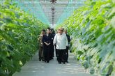異例の「年3回訪問」…北朝鮮・金正恩総書記が執着する新義州温室農場、見え隠れする中朝経済協力の思惑 [韓国専門家コラム]