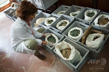 水道工事現場から古代ローマの硬貨、総重量600キロ スペイン 写真9枚