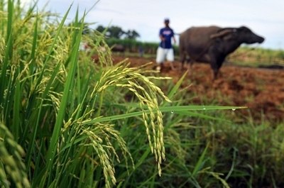 貧困国から奪われてゆく土地、背景に食糧危機や景気後退など