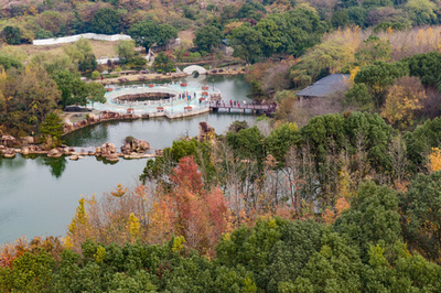 中国で広がる「天然酸素バー」 都市住民が「洗肺」でリフレッシュ