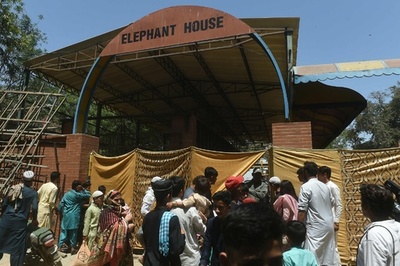 パキスタン動物園のゾウ死ぬ 不適切な管理に強制閉園求める声も