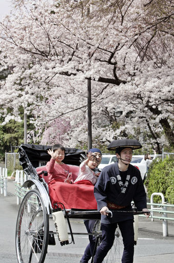 笑顔も満開、都内は花見日和に