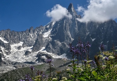 仏アルプスにスパイ拠点？ 仏報道をロシアが否定