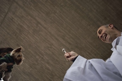 ペットにも神の祝福を、「聖アントニオ」の日 スペイン