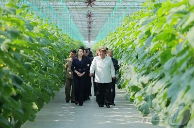 異例の「年3回訪問」…北朝鮮・金正恩総書記が執着する新義州温室農場、見え隠れする中朝経済協力の思惑 [韓国専門家コラム]