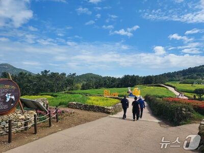 韓国・青山島をゆっくり歩く旅…映画の道と石垣村が彩るスローシティ
