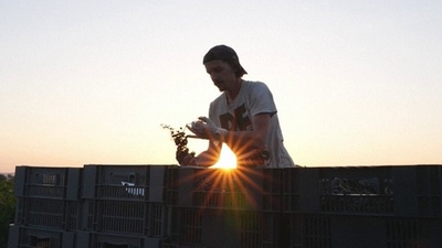 動画:記録的な猛暑、過酷なブドウの収穫 仏ボルドー