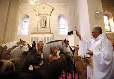 世界動物デー、祝福受ける動物たち