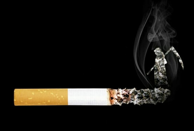 Pixabay(c)KOREA WAVE