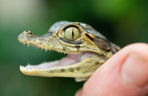 img_06215bea9207e9eff5a5ae84fc