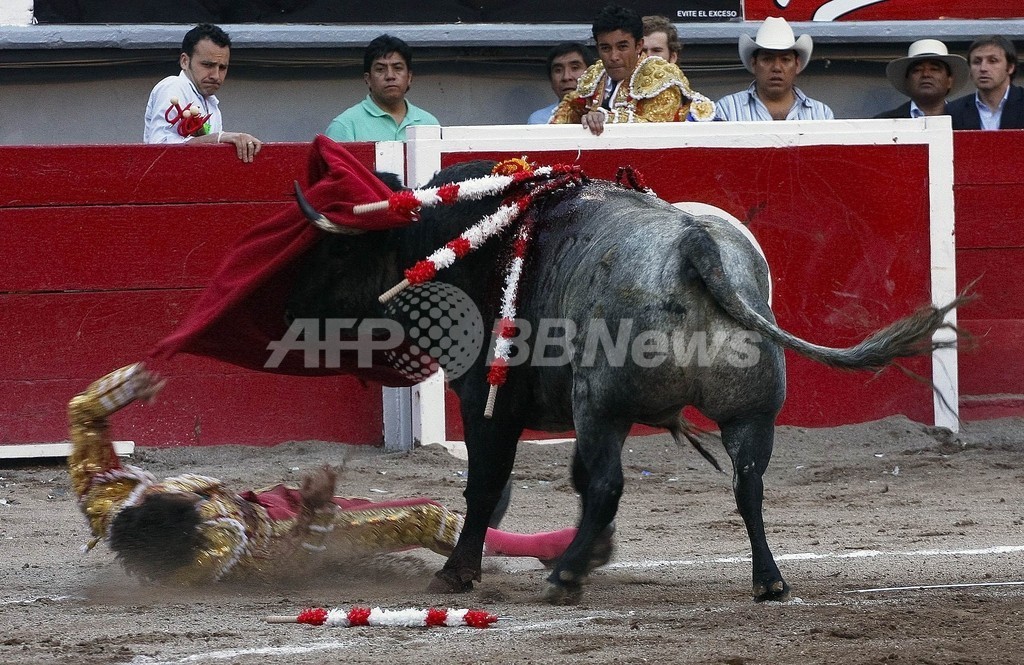 牛に突かれ重体の闘牛士、驚異的な回復見せる メキシコ 写真2枚 国際ニュース：AFPBB News