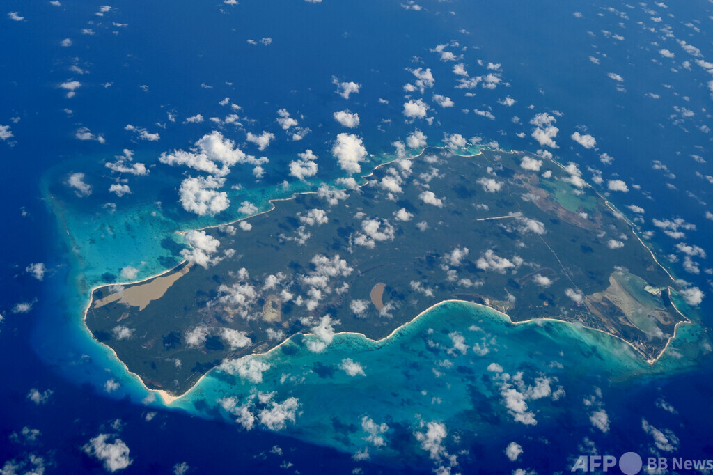 米国人女性、サメに襲われ死亡 バハマ 写真1枚 国際ニュース：AFPBB News