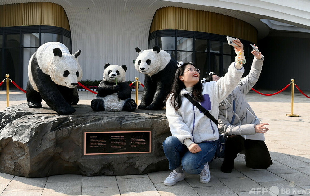 日本、米国からパンダの帰国ラッシュ 写真1枚 国際ニュース