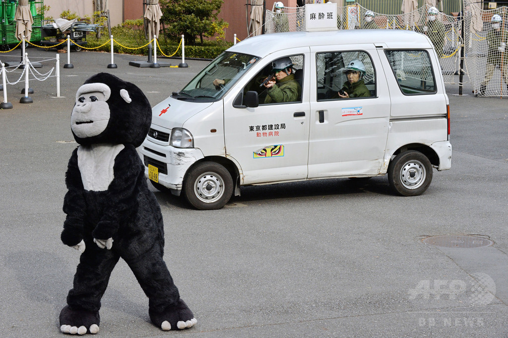 【特集】おもしろ動物写真集～癒やし系から仰天系まで～