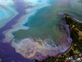 モーリシャスの上空から撮影した、貨物船わかしおから漏出した燃料が広がる海面（2020年8月6日撮影）。(c)AFP