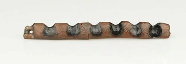 7000年前の土器や骨器、木器が大量出土 中国・江蘇省 写真1枚 国際