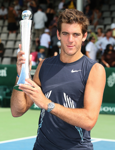 デルポトロ キュエリーをストレートで下し優勝、ハイネケンオープン