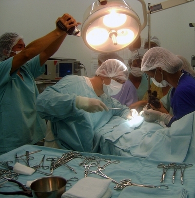 ブラジルで野生のペンギン500匹を保護、手術も実施