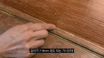 「親日」発言で知られる漫画家、日本の旅館で「嫌韓的な冷遇を受けた」