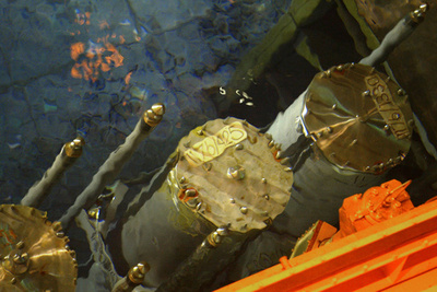 米18歳少年が小型原子炉を考案、発電量は「10万世帯分」